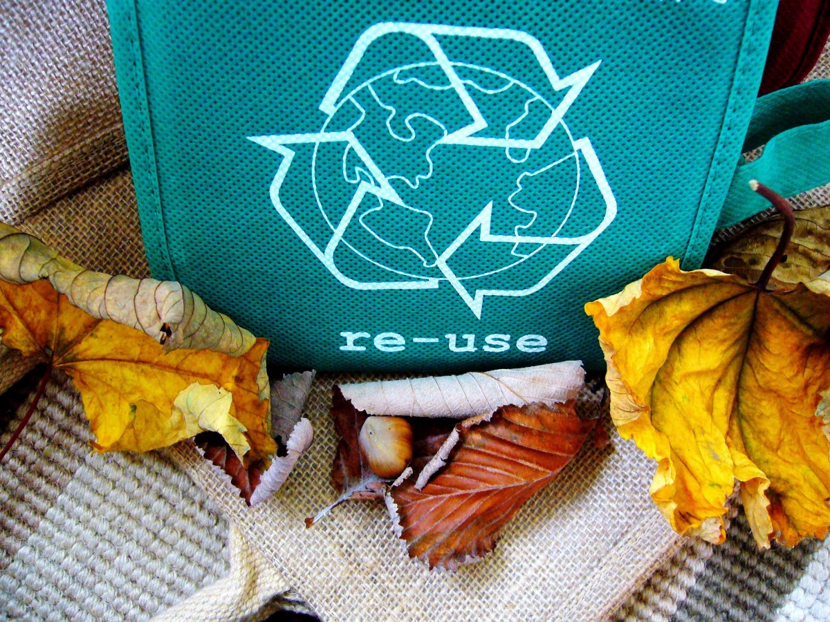 Les avantages du recyclage sur l’environnement