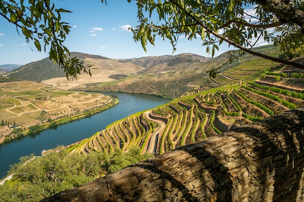 La vallée du Douro, Portugal
