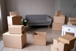 achat carton déménageurs